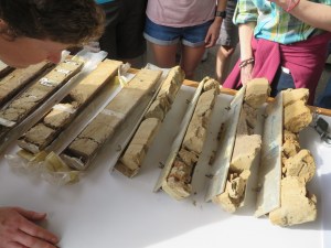 Conference participants examine cores from the Cauca River.