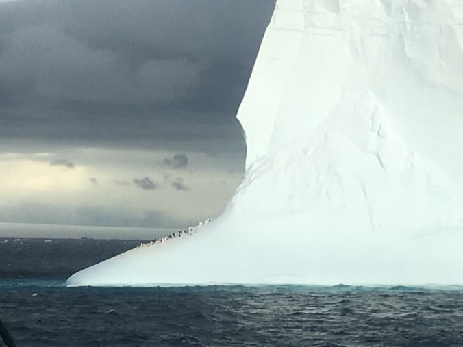 Photo 8-12-16, 8 47 17 am