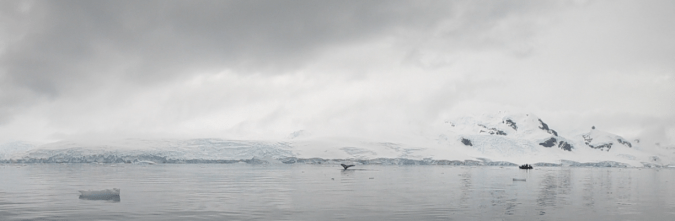 Screen Shot 2019-03-13 at 9.27.30 AM